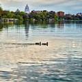 Capitol -Madison-Wisconsin from Tenney Park