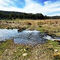 Naas Creek, Namadgi National Park, Canberra, Australia